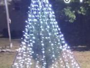 Pomona Park's Christmas Tree